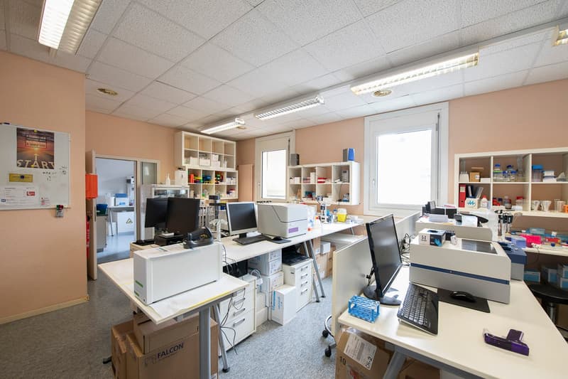 290m2 di uffici al 2° piano del CTN 16 a Plan-les-Ouates (9)