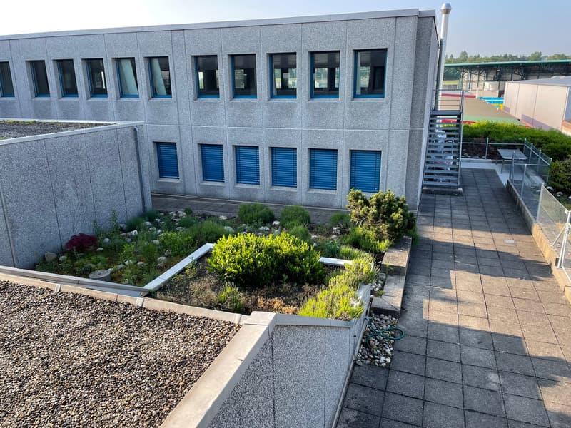 Exterior of a modern building with gray walls, multiple windows, and a green rooftop garden.