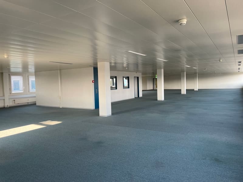 Spazio ufficio di 540m2 nella zona aeroportuale di Rümlang in affitto immediato (2)
