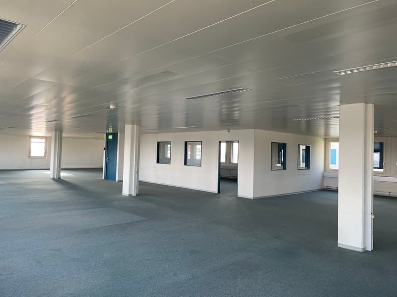 Large empty room with white walls, gray floor, several windows, and doors along the walls. A blue door is visible on the left side.