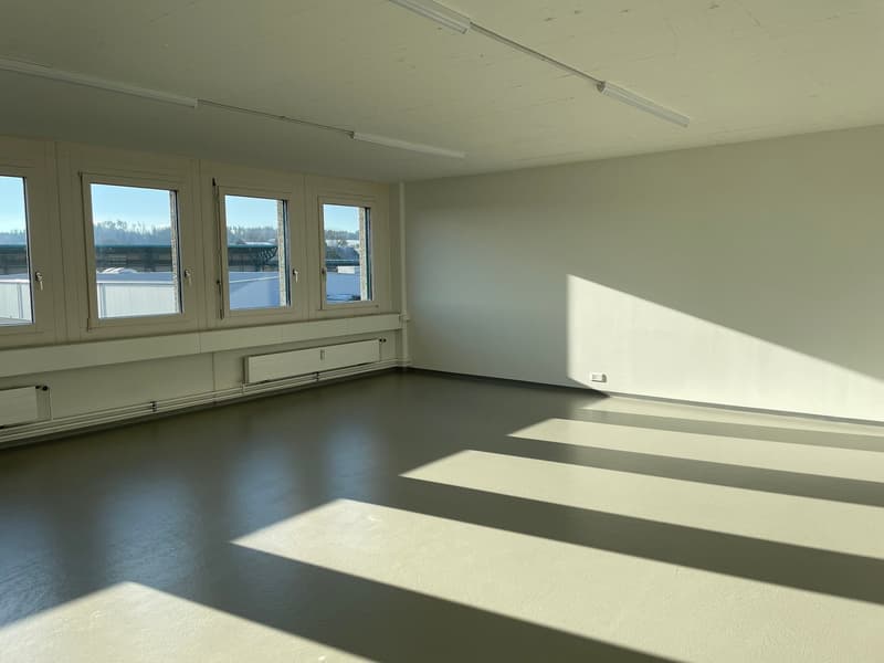 open space with windows, neutral paint, overhead lights