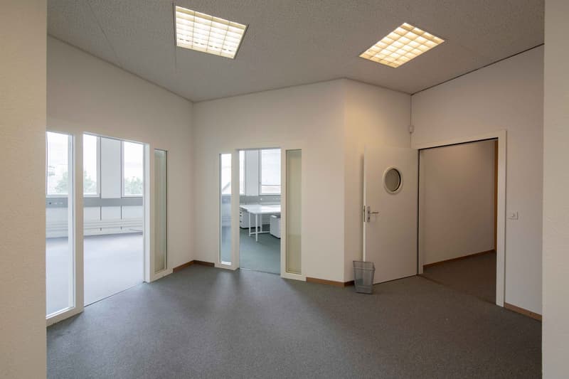 Surface à Plan-les-Ouates – CTN 18 – 1ᵉ étage : env. 565m² (1)
