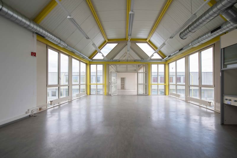 Surface à Plan-les-Ouates – CTN 12 – 3ᵉ étage : env. 290 m² (1)