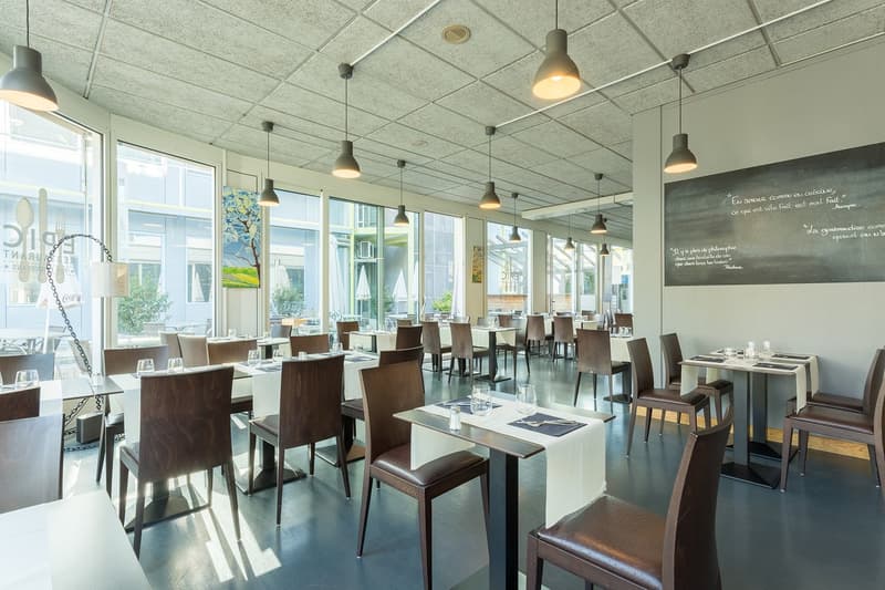 Arcade Gewerbe mit Glasfront – 467 m² – Erdgeschoss – Plan-les-Ouates (CTN) (2)