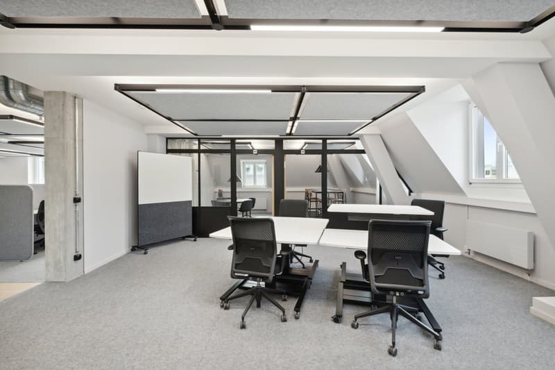 Move-in-ready Büro am Barfüsserplatz zu flexiblen Konditionen. (1)