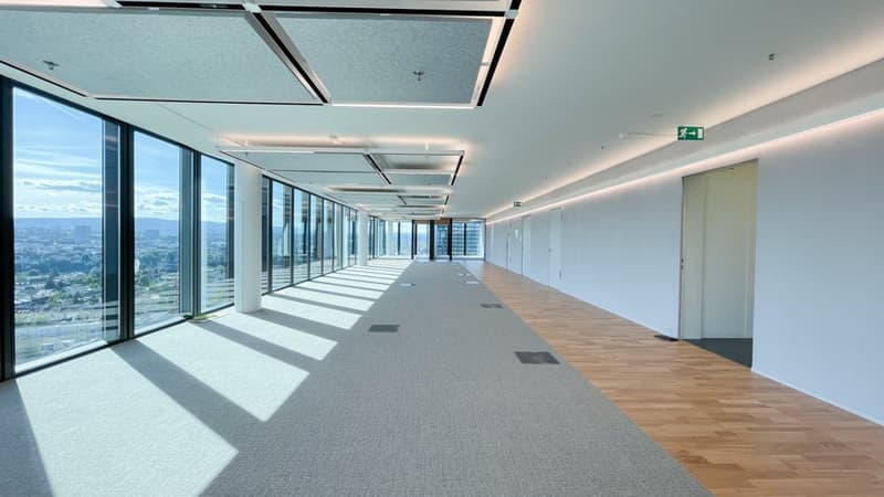 Modern ausgebaute Bürofläche im Basler Messeturm - Ihr neues Büro wartet auf Sie! (2)