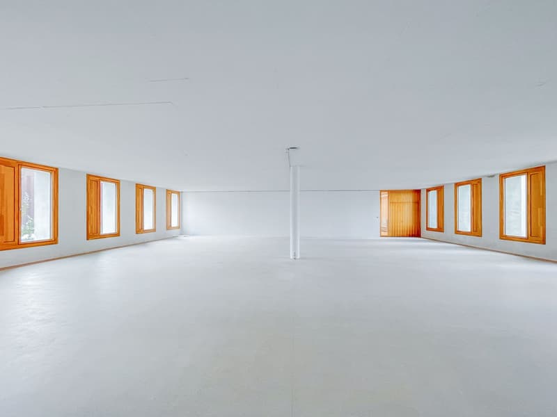 Ready-for-occupancy and sustainable offices directly at Schlieren train station (15)