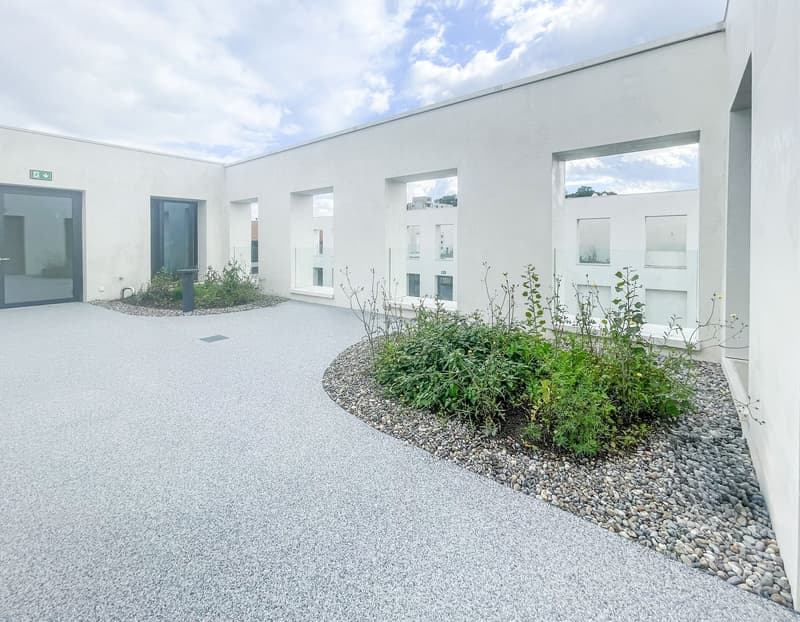 Ready-for-occupancy and sustainable offices directly at Schlieren train station (21)