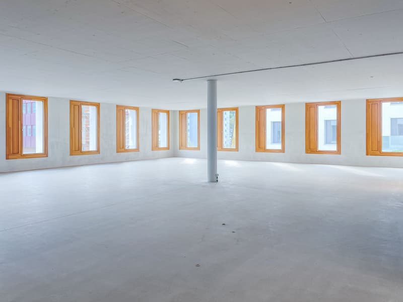 Ready-for-occupancy and sustainable offices directly at Schlieren train station (10)