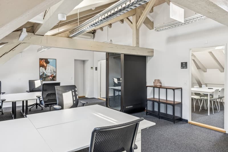 Flexible & moderne Büroflächen im FlexOffice Bern Genfergasse (6)