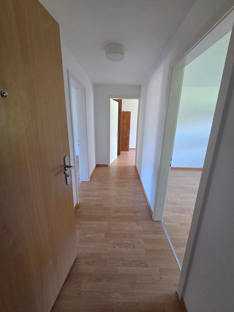 Appartement de 3,5 pièces au rez-de-chaussée confortable à Rohrbach (5)