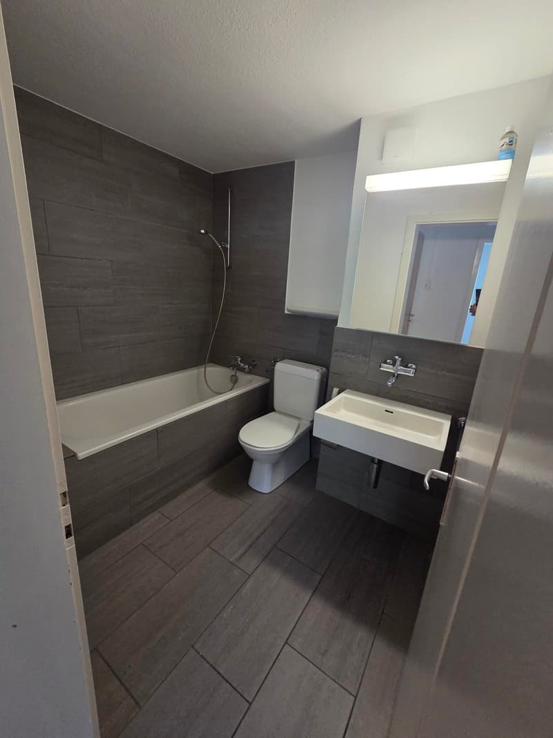 Appartement de 3,5 pièces au rez-de-chaussée confortable à Rohrbach (1)