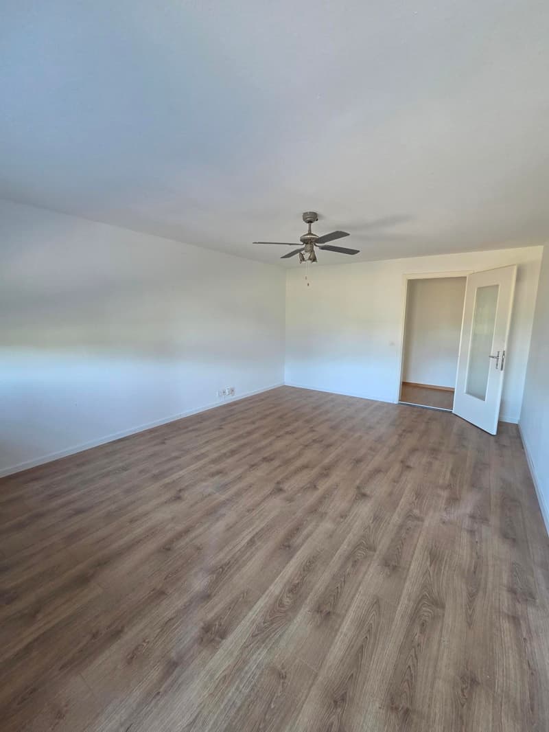Appartement de 3,5 pièces au rez-de-chaussée confortable à Rohrbach (2)