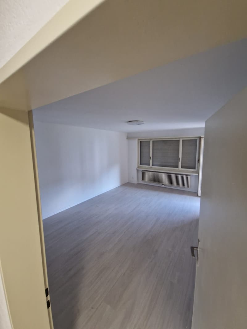 Appartement confortable à Neuenhof ! (3)