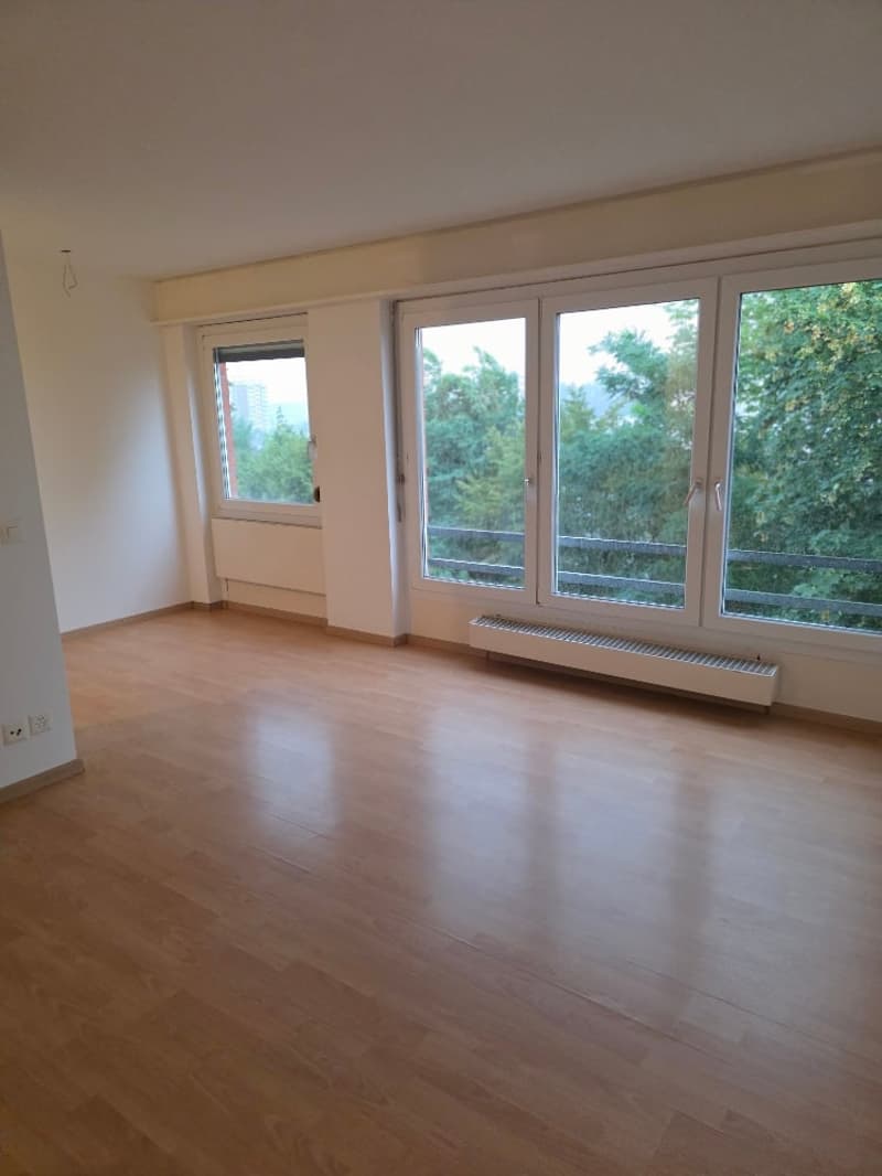 Gemütliche 2.5-Zimmer-Wohnung in Grenchen – sofort verfügbar! (1)