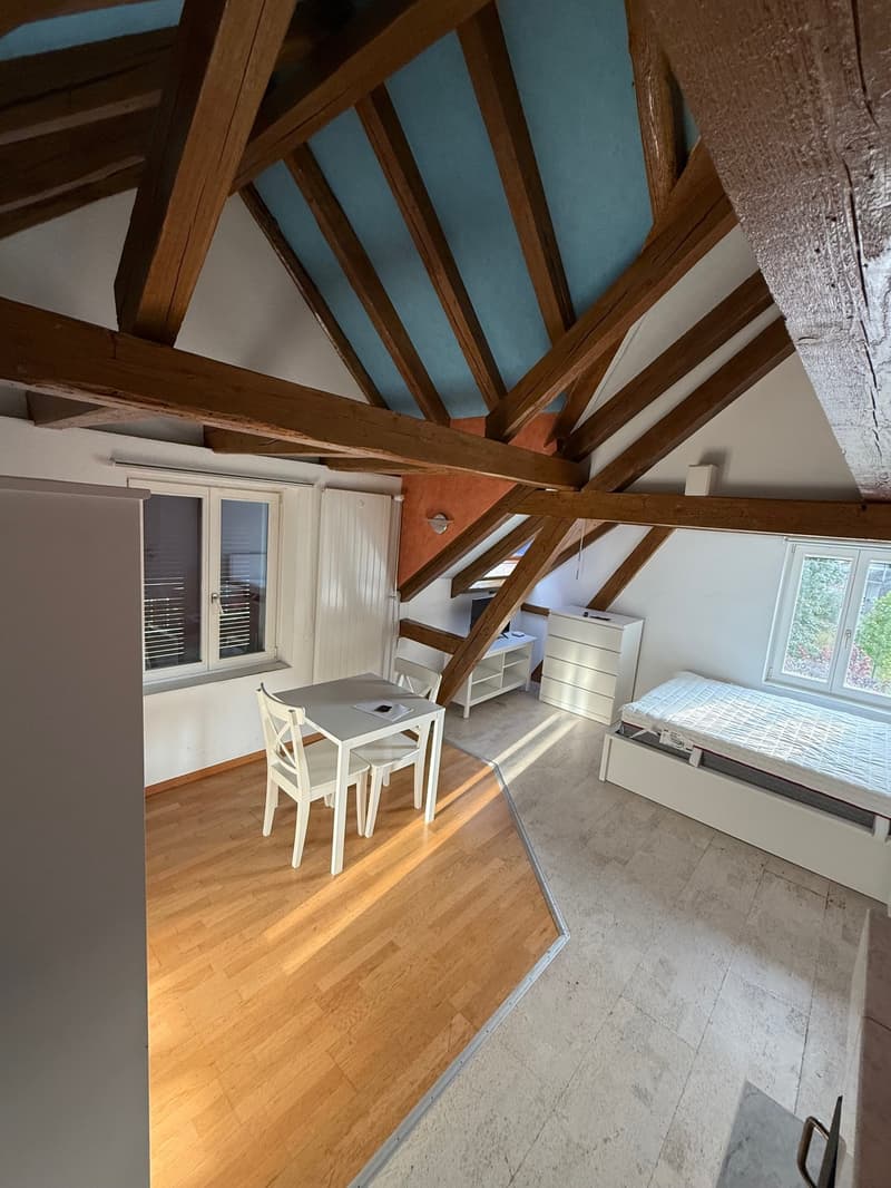 Ab dem 1. Juli ist ein schönes Zimmer im EG frei (3)