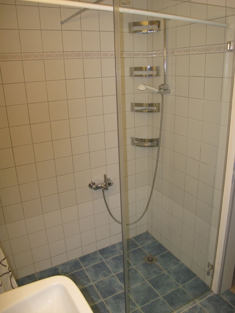 Ab dem 1. Juli ist ein schönes Zimmer im EG frei (8)