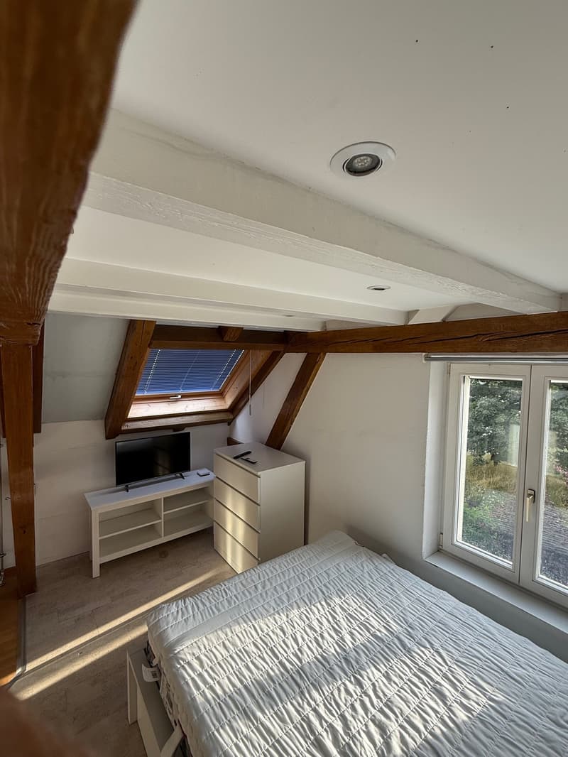Ab dem 1. Juli ist ein schönes Zimmer im EG frei (4)