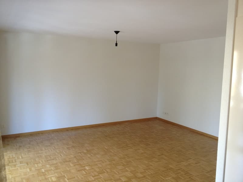 Das grosse helle Wohnzimmer