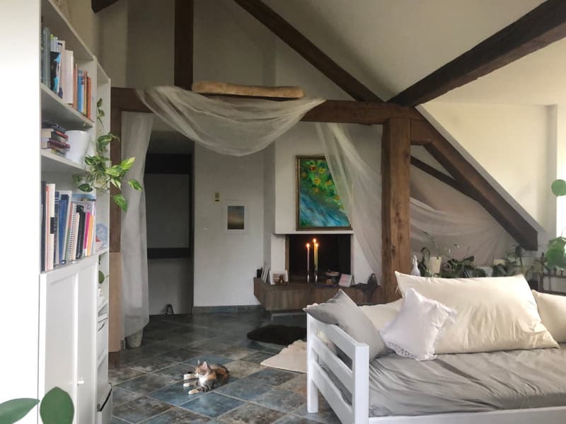 Das tolle Wohnzimmer