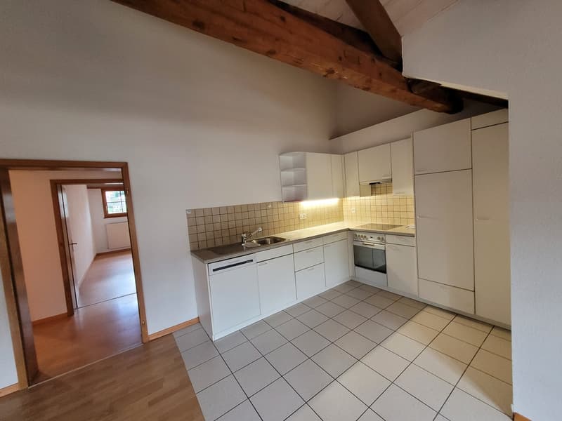 Property with 9 units / approval for 6 additional apartments in popular municipality in BL (10)