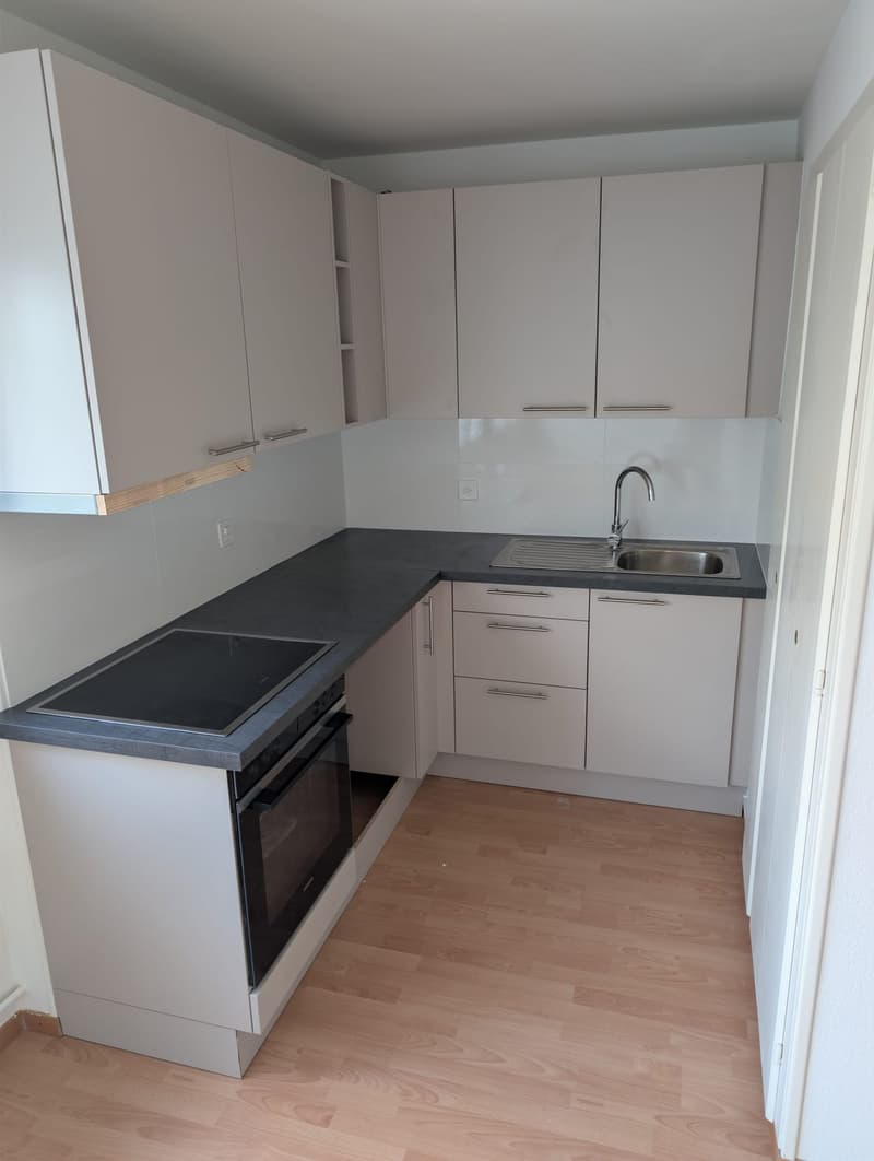 TOP 1.5-pièce Appartement rénové (1)