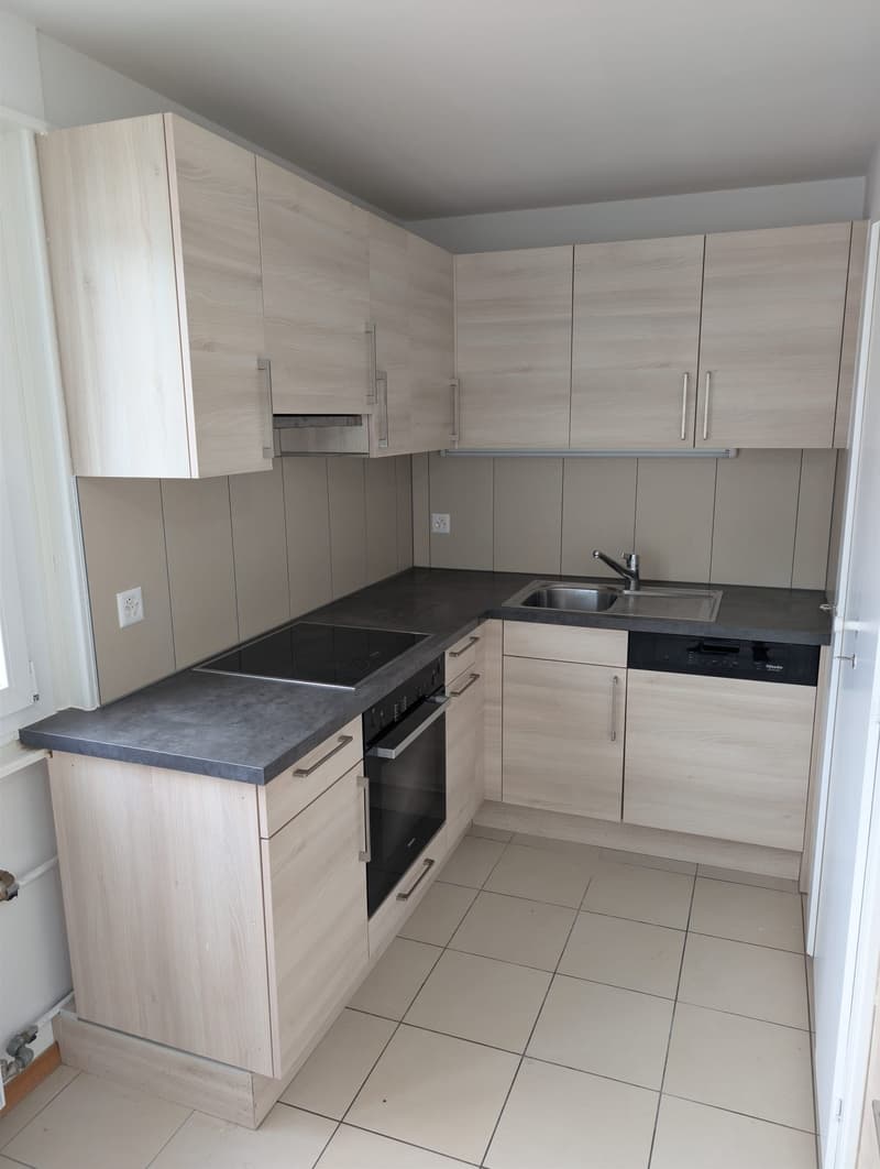 TOP 1.5-pièce Appartement rénové (1)