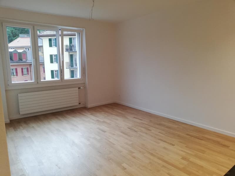 Moderne, sanierte 2.5-Zi Wohnung im Herzen von Zürich 3 (4)