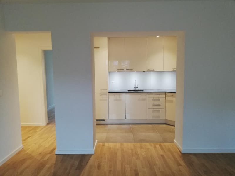Moderne, sanierte 2.5-Zi Wohnung im Herzen von Zürich 3 (7)