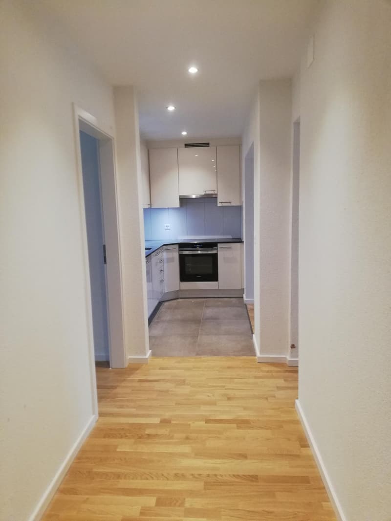 Moderne, sanierte 2.5-Zi Wohnung im Herzen von Zürich 3 (2)