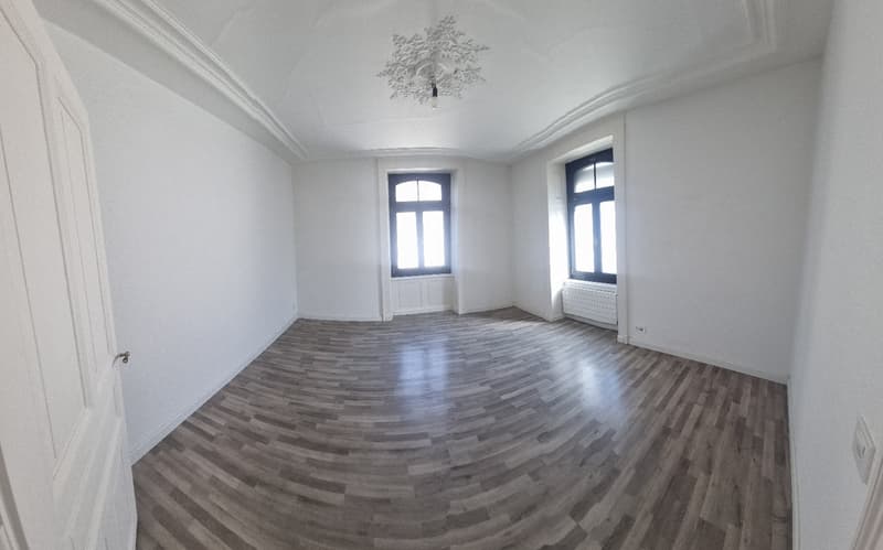 Appartement de 3.5 pièce avec une grande terrasse (4)