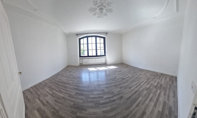 Appartement de 3.5 pièce avec une grande terrasse (5)