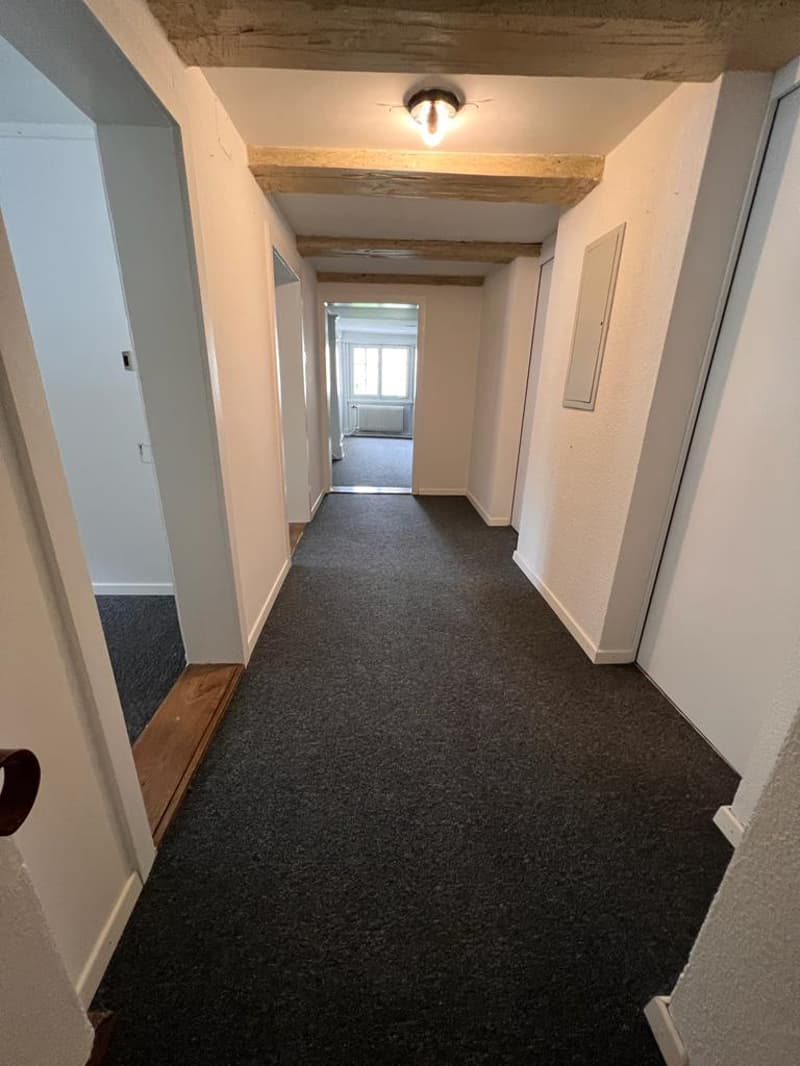 Helles 5.5-Zimmer-Apartment mit Balkon in Ramsen (3)