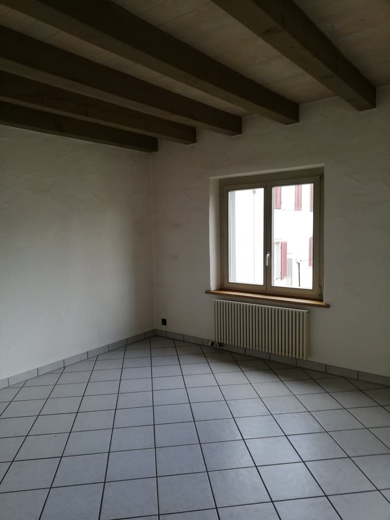 Charmante Maisonette mit grosser Terrasse (8)