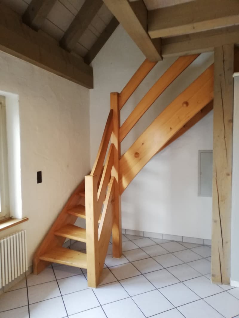 Charmante Maisonette mit grosser Terrasse (5)