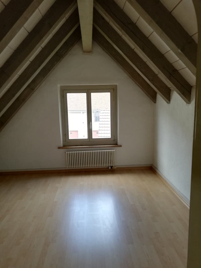 Charmante Maisonette mit grosser Terrasse (3)