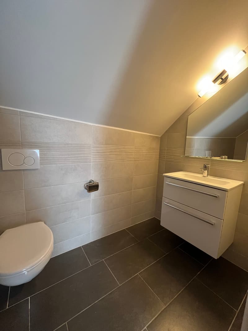 Appartamento 3 camere (5)