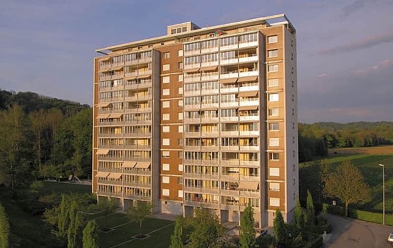4,5-Zimmerwohnung (5)