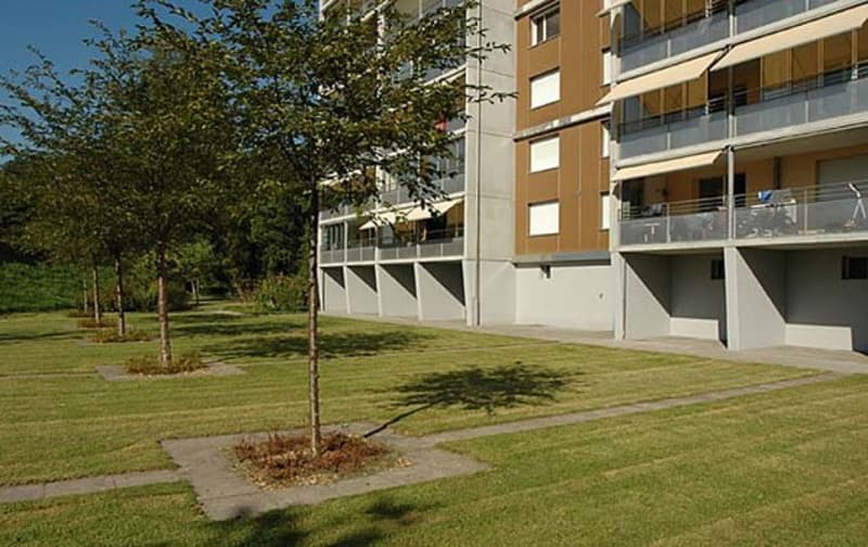 4,5-Zimmerwohnung (2)