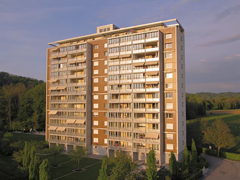 4,5-Zimmerwohnung (3)