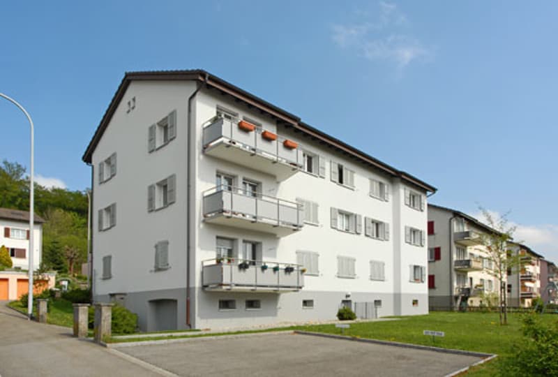 4,0-Zimmerwohnung (1)