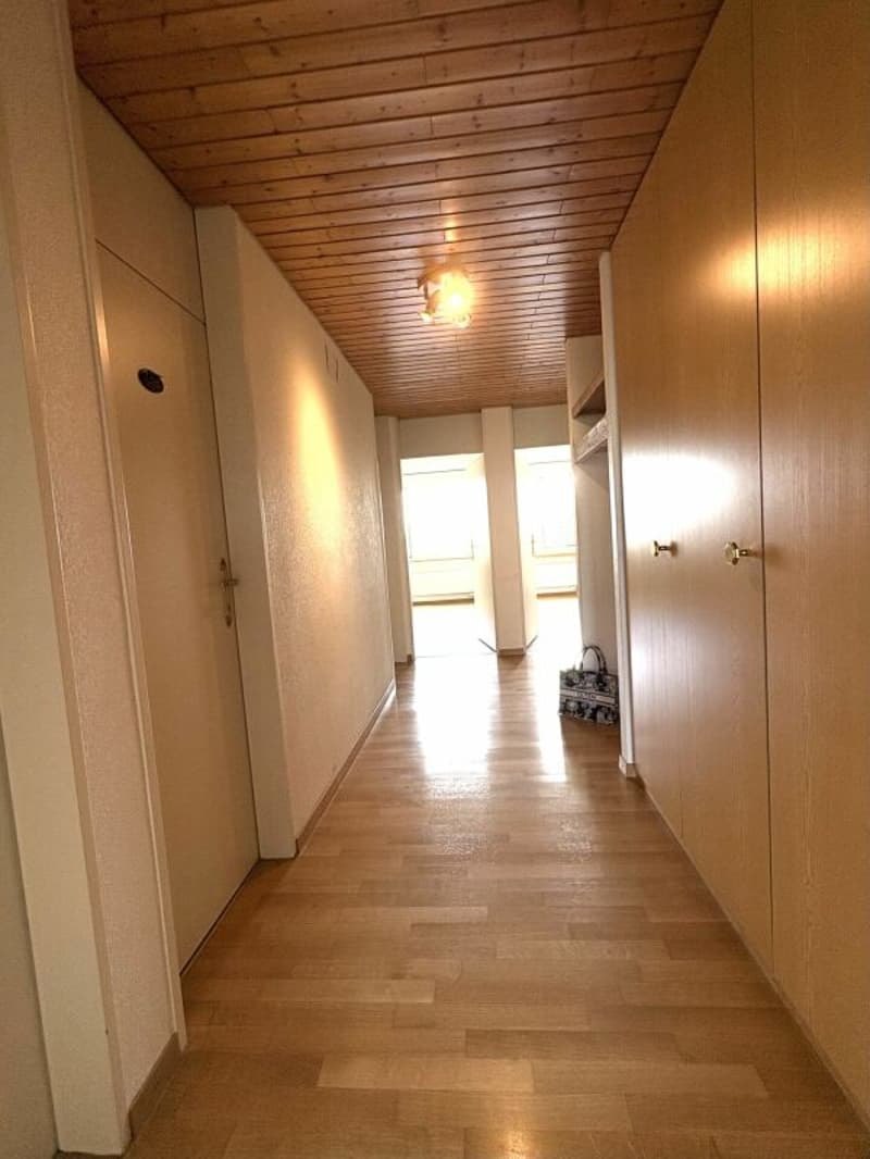 Grosszügige 3 1/2-Zimmerwohnung inkl. Autoeinstellplatz zu verkaufen! (10)