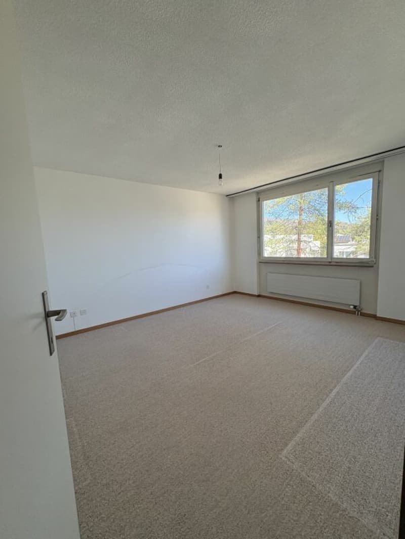 Grosszügige 4 1/2-Zimmerwohnung zu verkaufen! (8)
