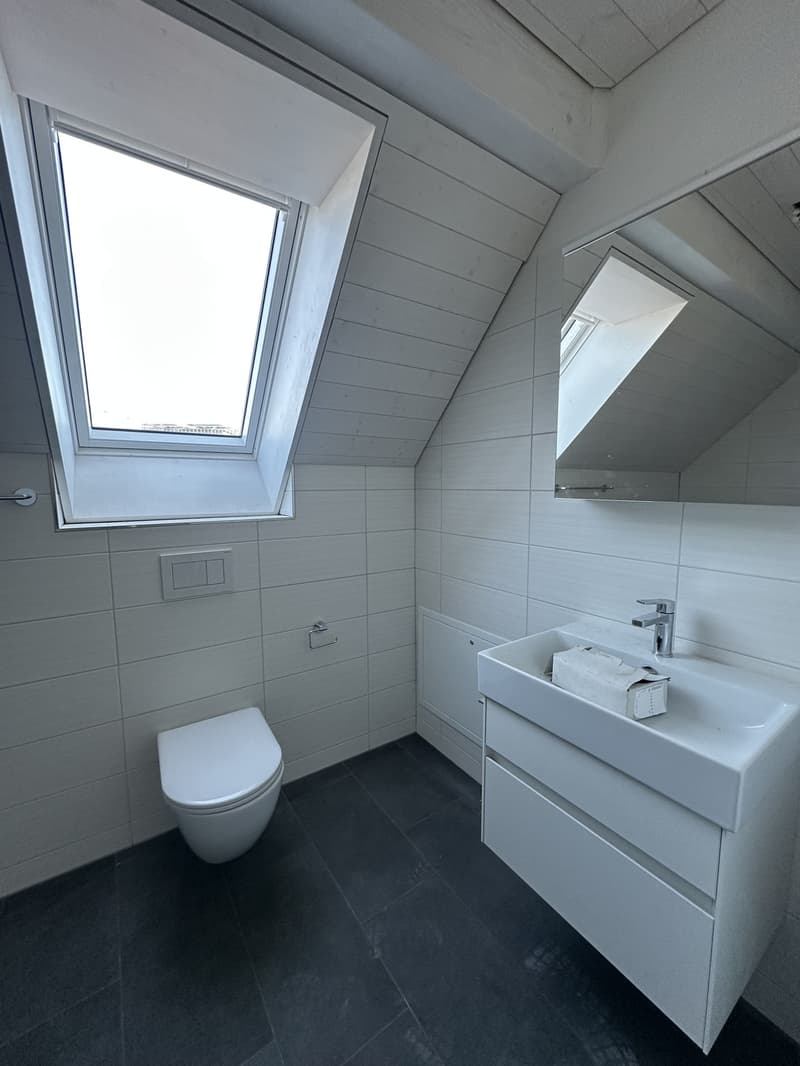 Hallo Kreis 3, hallo exklusive Dachterrasse (4)