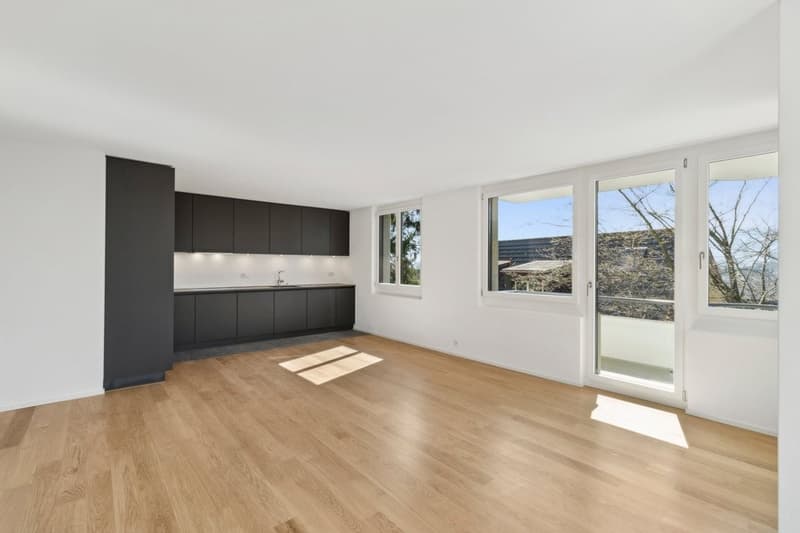 Küche / Wohnzimmer