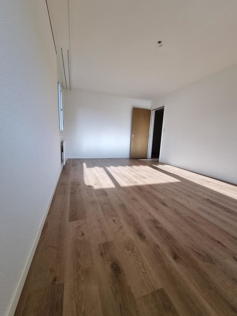Zimmer 1