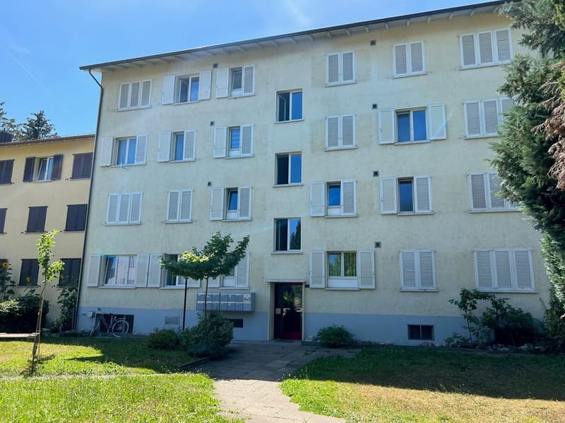 Zuercherstrasse_164_Aussenansicht.png
