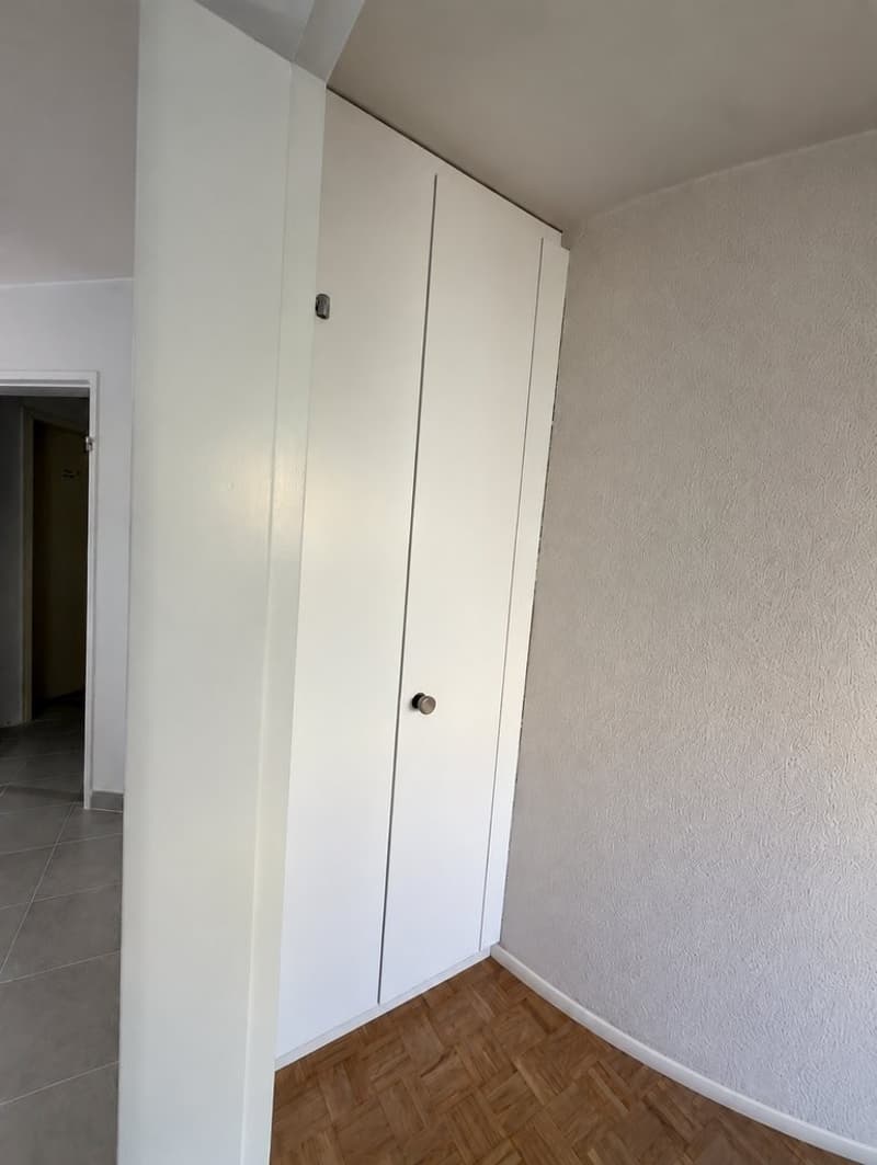 Visualisierung_Wandschrank_Zimmer_1.png