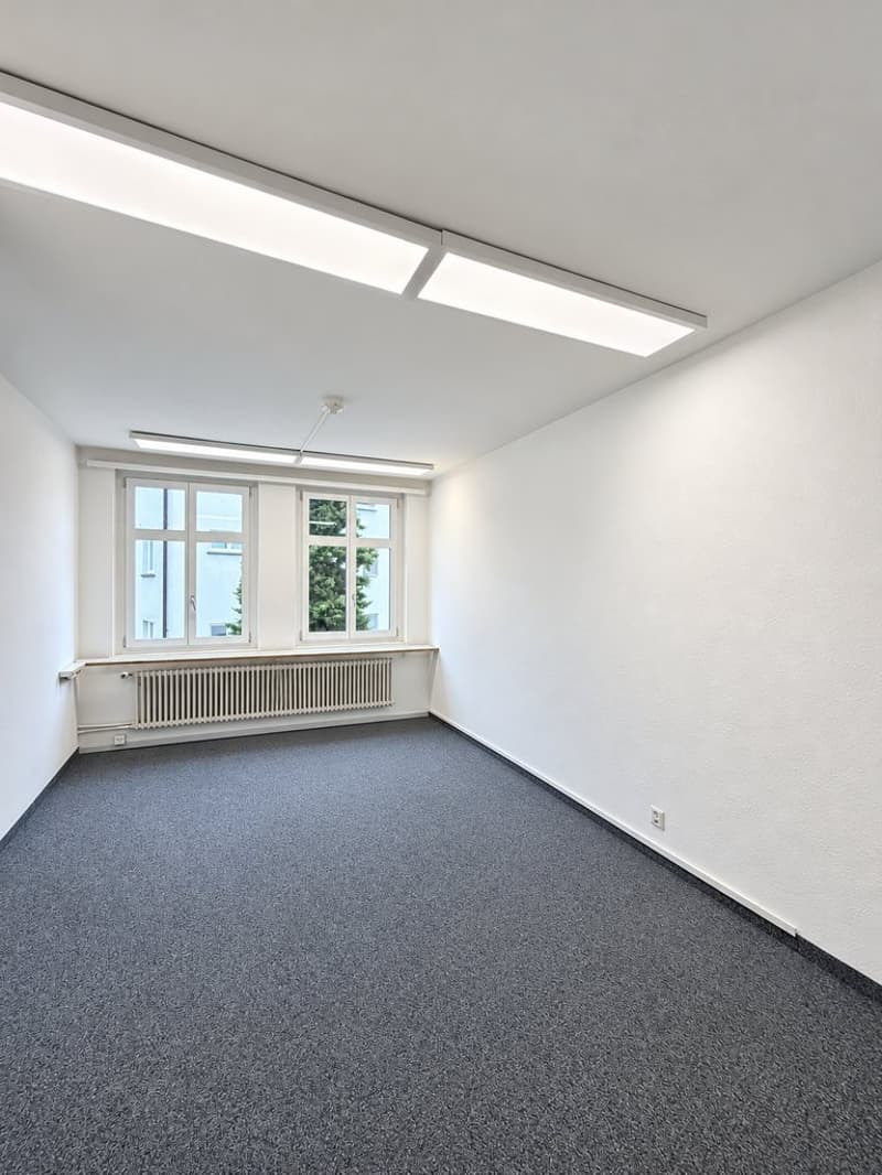 Fläche