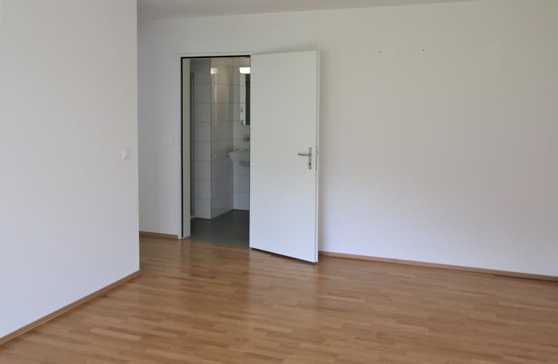 Zimmer1